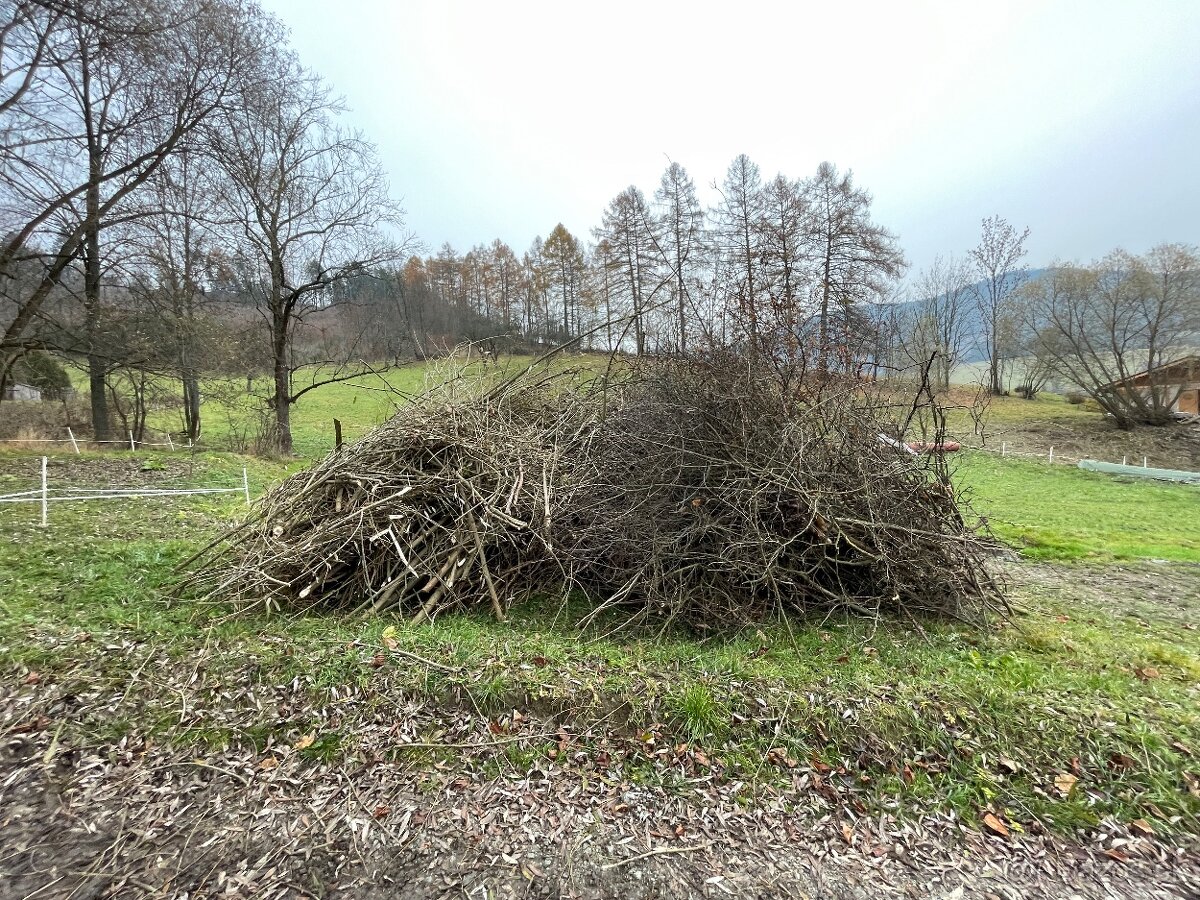 Darujem drevo na štiepku