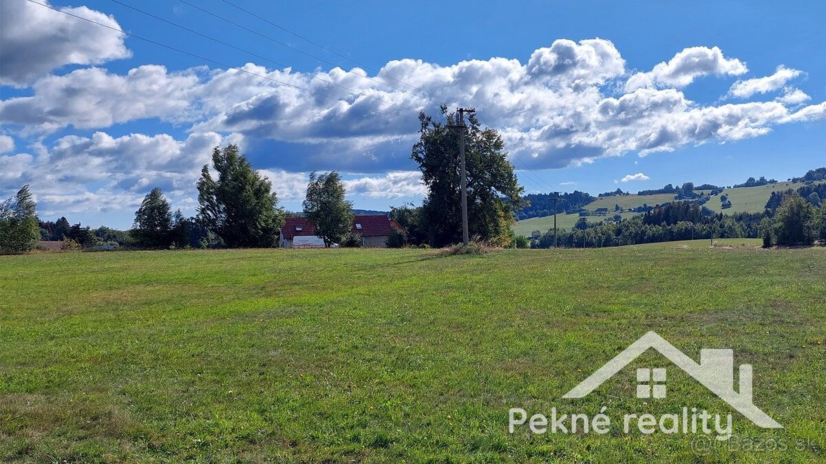 Predaj pozemkov v obci Detvianska Huta, časť Čechánky