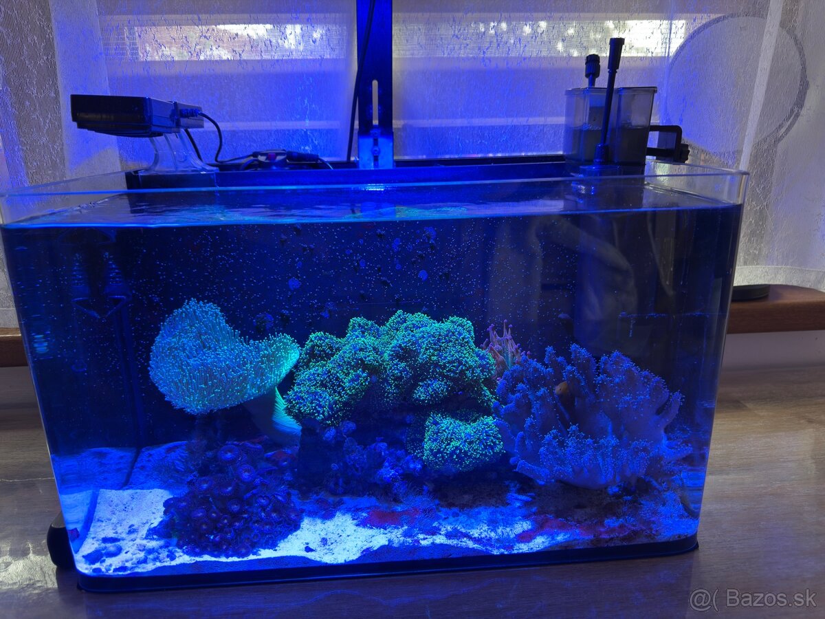 Morske nano 40 litrov