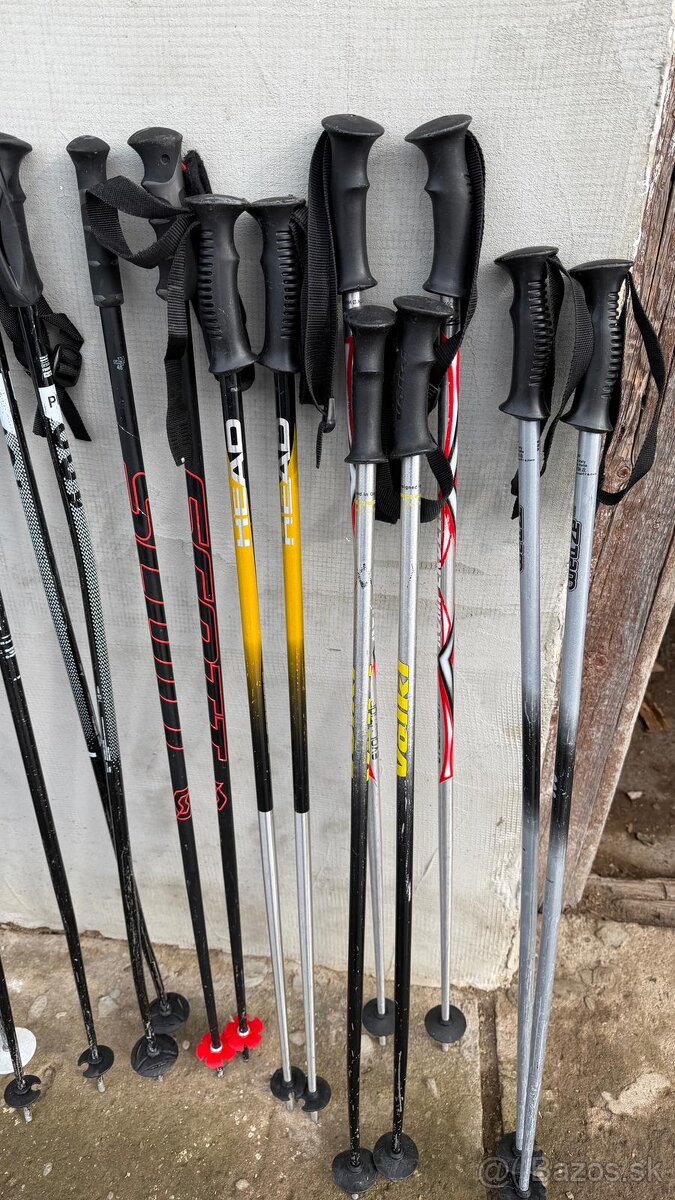 Lyžiarske palice 115/130 cm