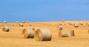 slama okruhle baliky kvalita