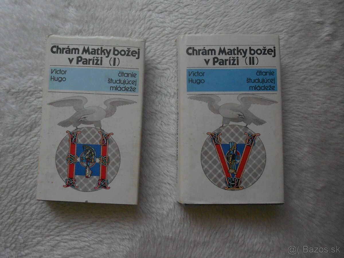 Chrám Matky božej v Paríži