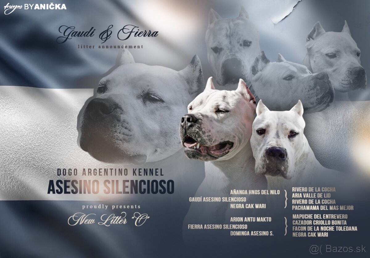 ARGENTÍNSKA DOGA S PP