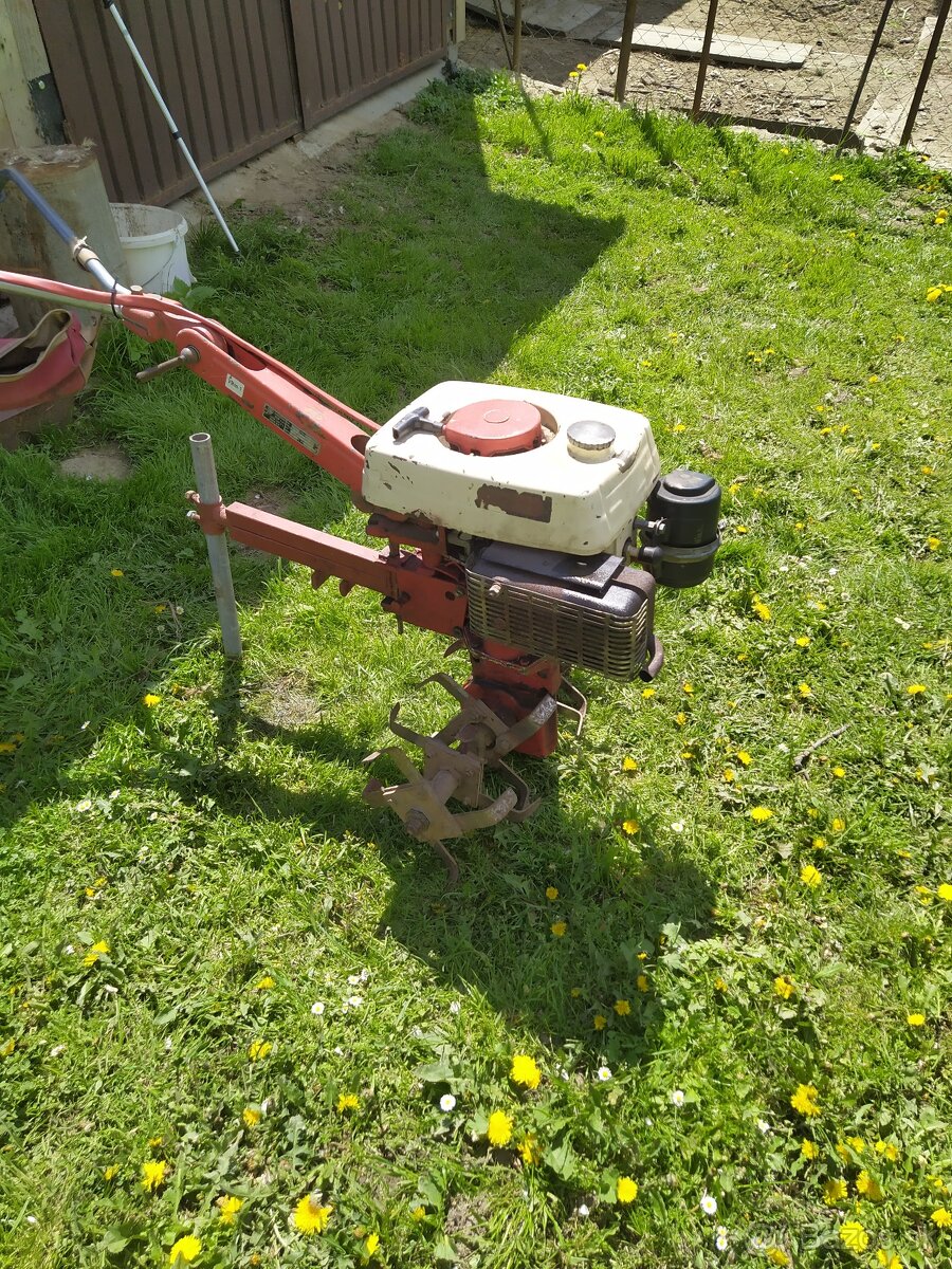 Terra 20