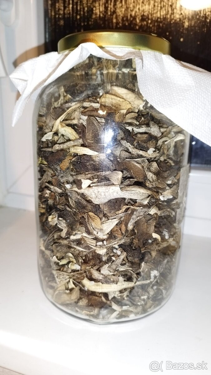 Sušené hríby 3,5l fľaša