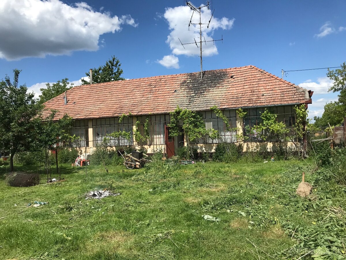 Darujem pálenú škridlu