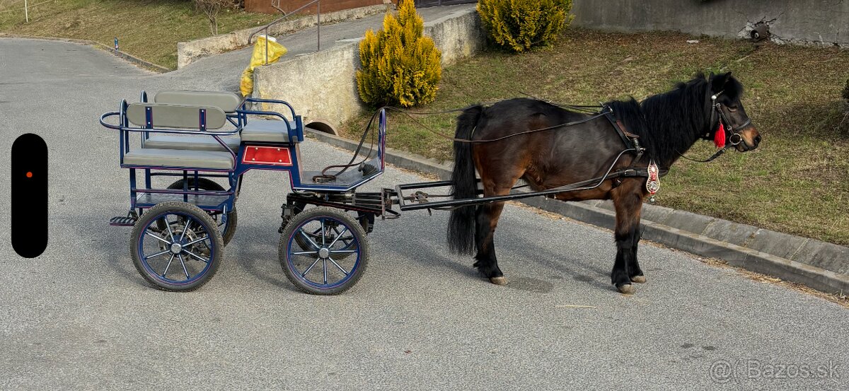 Brička wagoneta