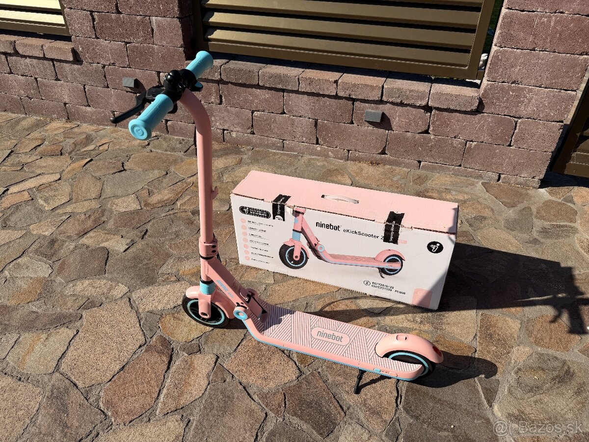 Segway Ninebot eKickScooter ZING E8
