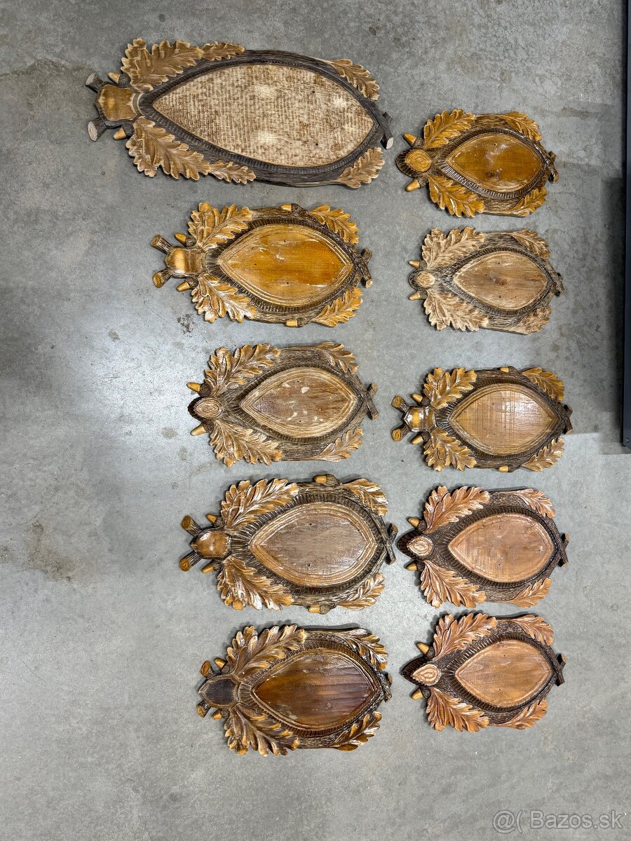 Trofej,parohy,parozie,Jelen