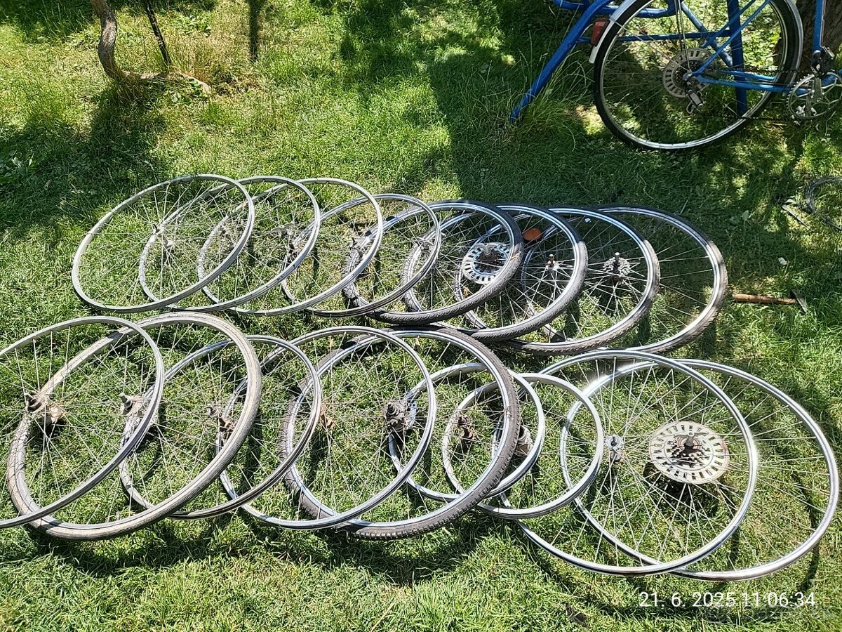Kolesa favorit, eska , liberta, velamos