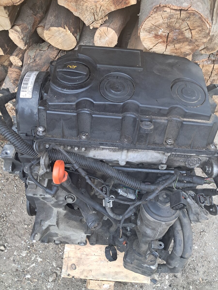 Motor 1.9 TDI 77Kw BLS