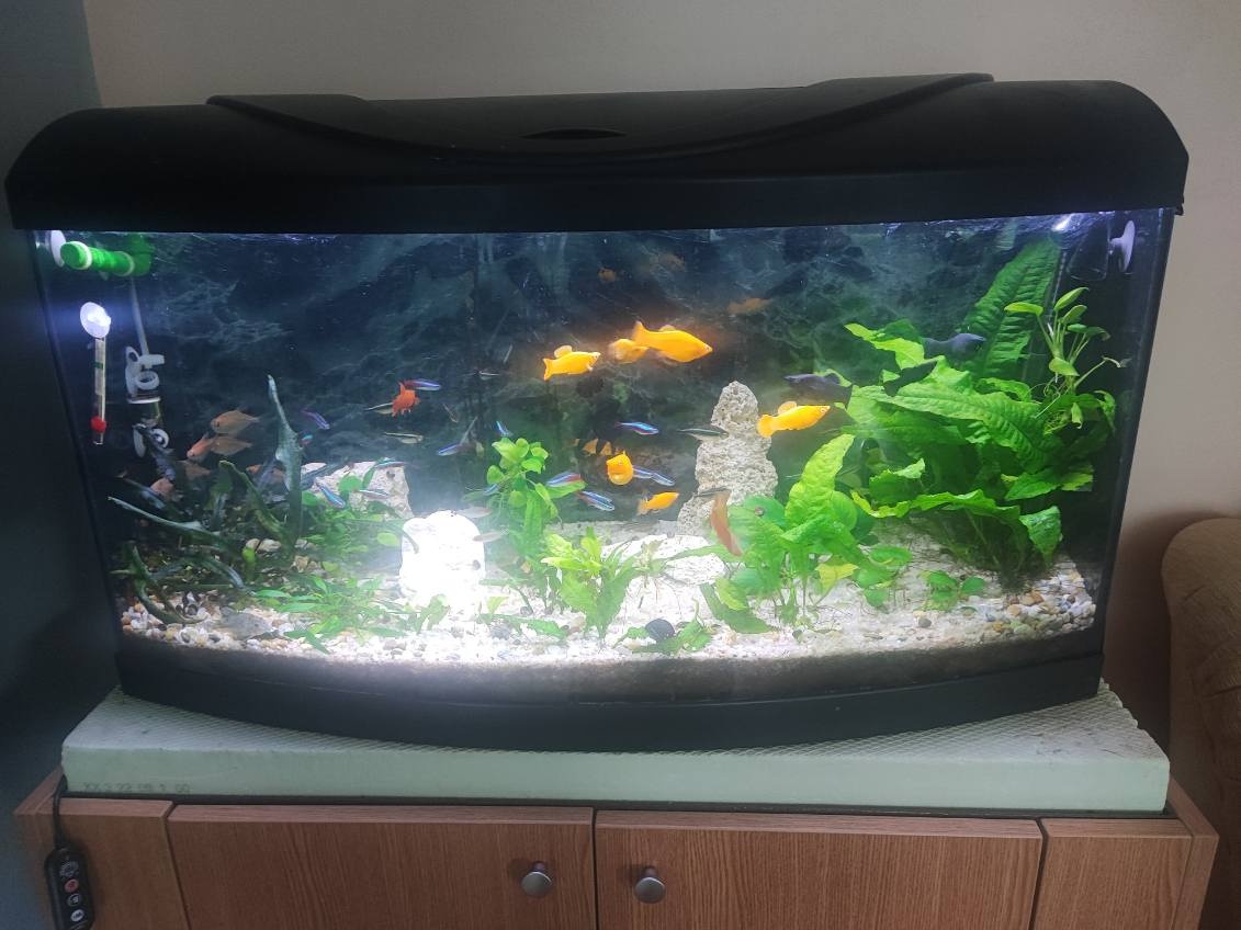 prerdam panoramaticke akva cca 90l