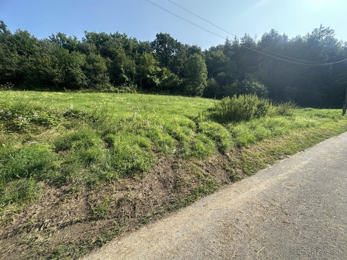 Na predaj exkluzívny pozemok o výmere 16.000 M2 v obci Jase
