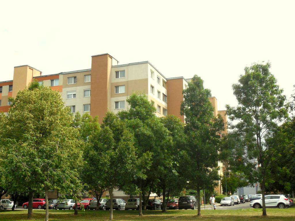 Svetlý, tichý byt v dobrej lokalite. Bodrocká ul.