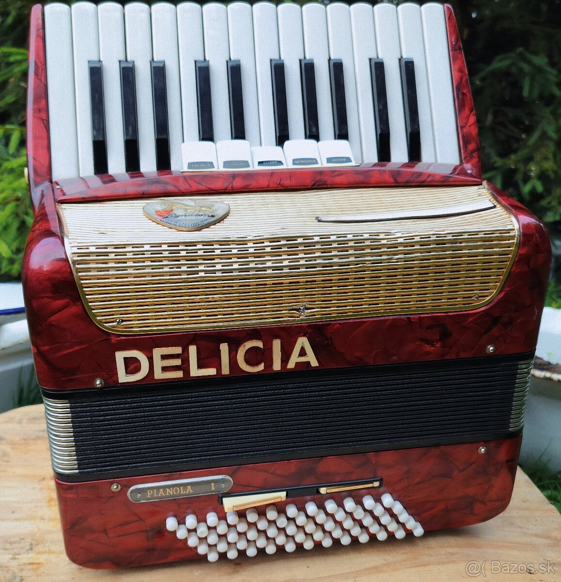Harmonika Akordeon Delicia Pianola 1