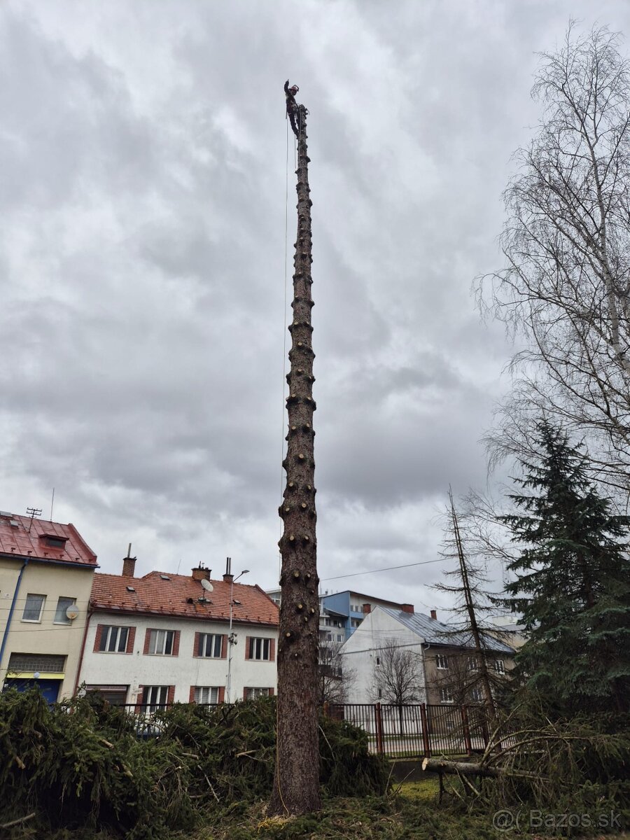 Rizikový vyrub