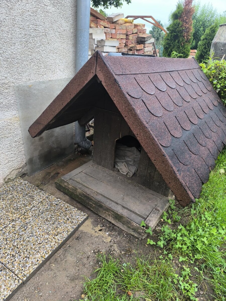 Darujem Búdu pre psa