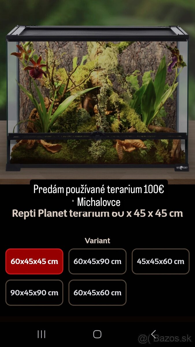 Terárium