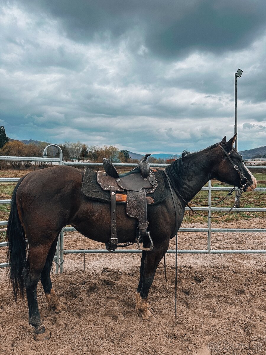 Kobyla QH/Appa