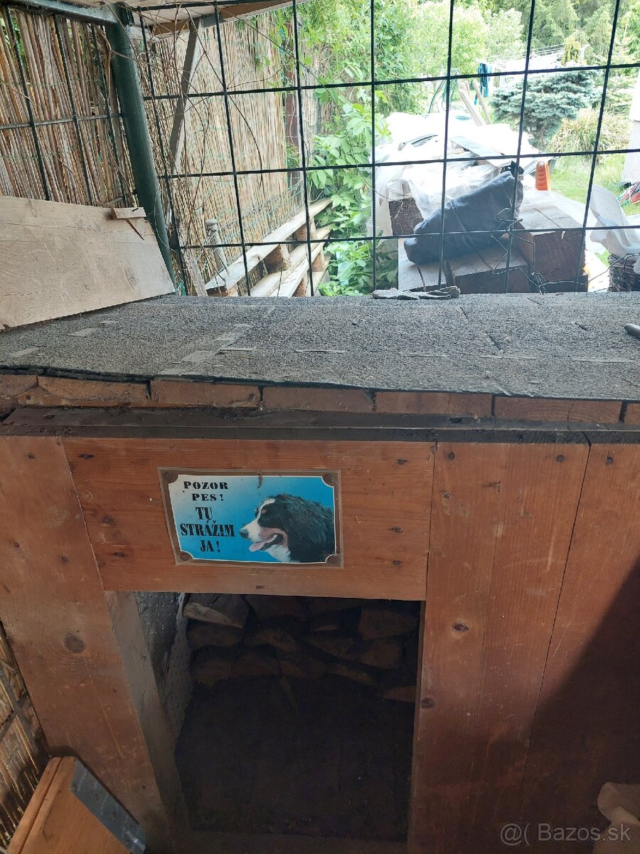 Buda pre vačšieho psa
