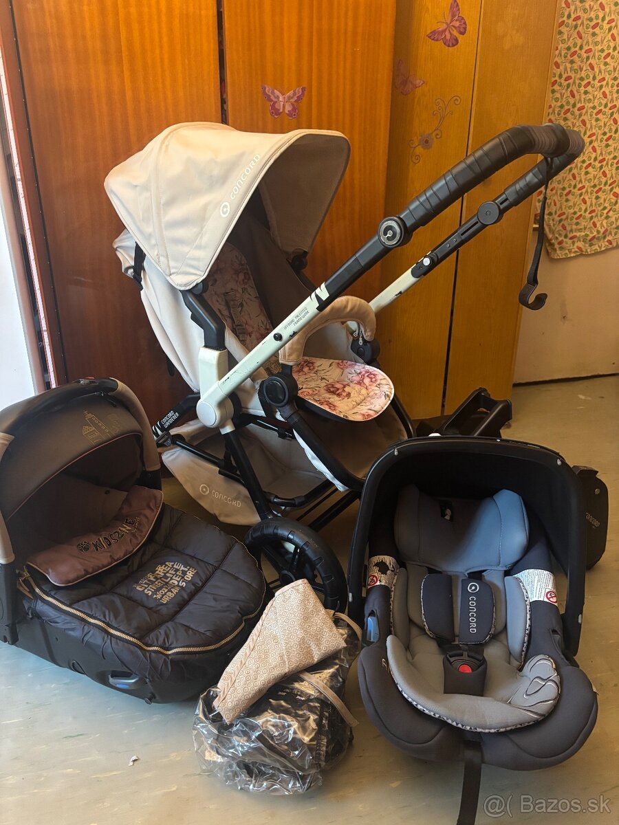Kocik Concord Wanderer