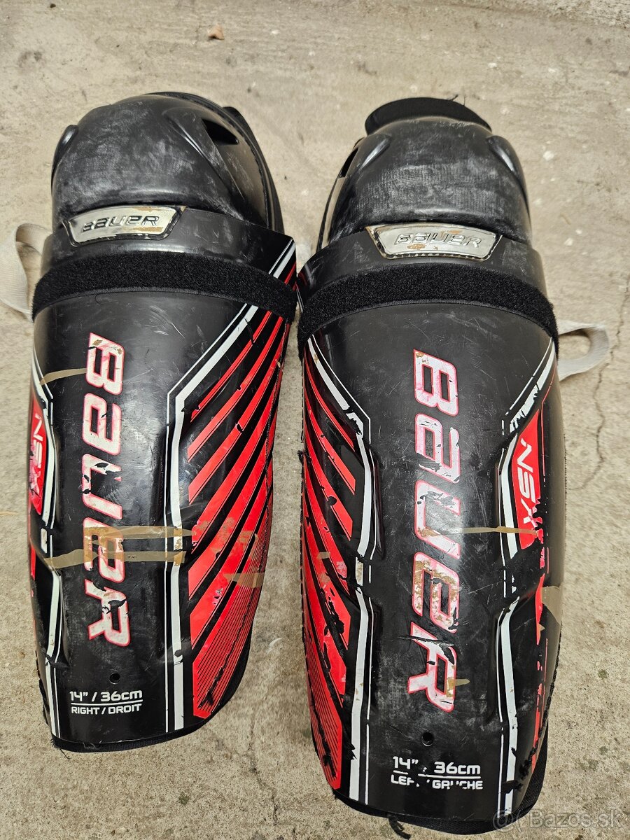 Holene Bauer 14"