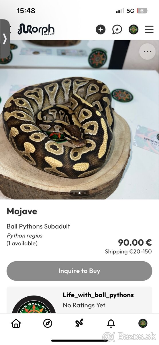 Ball Python ,Python kráľovsky Python Regius