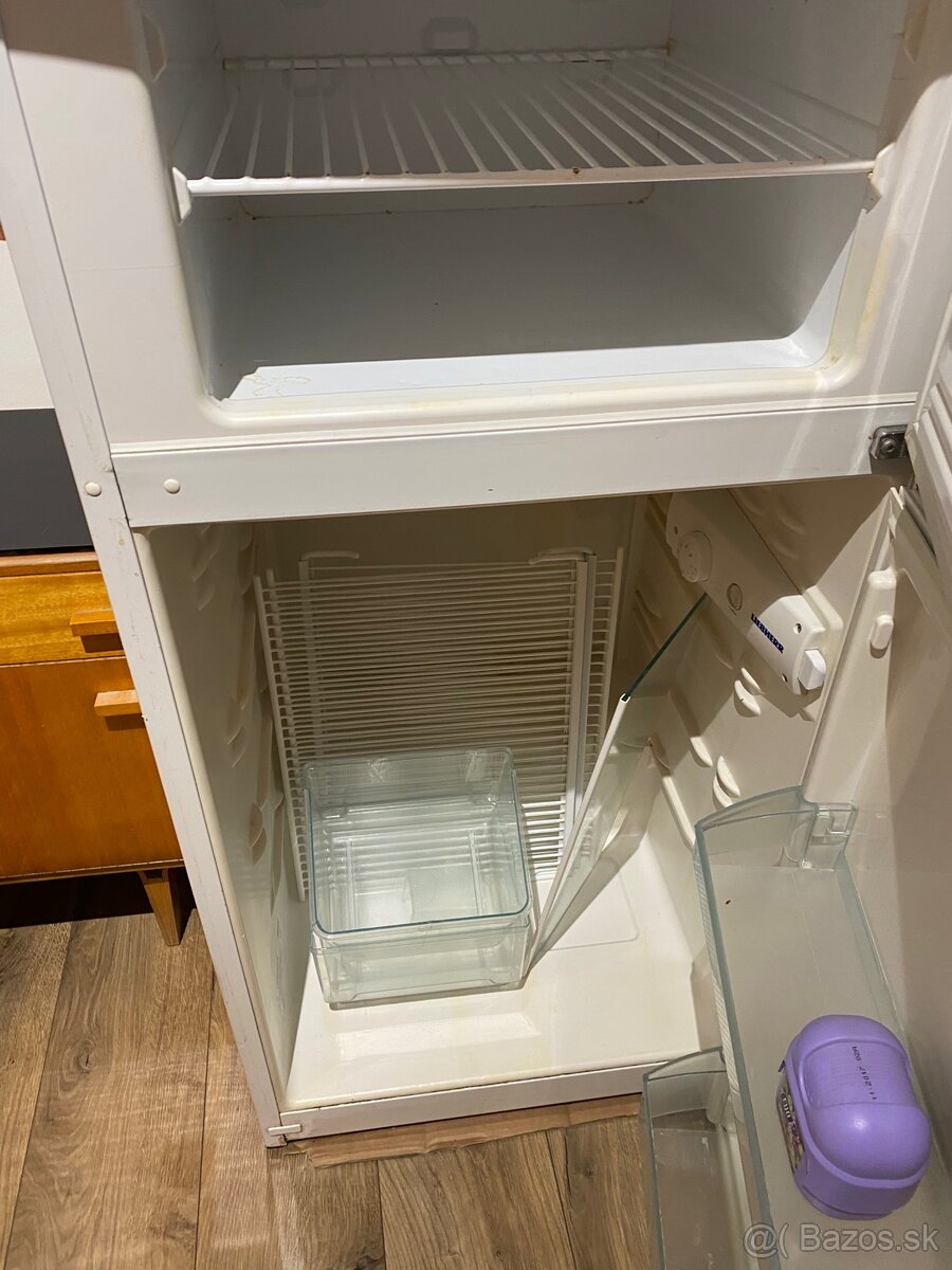 Chladnicka s mrazakom