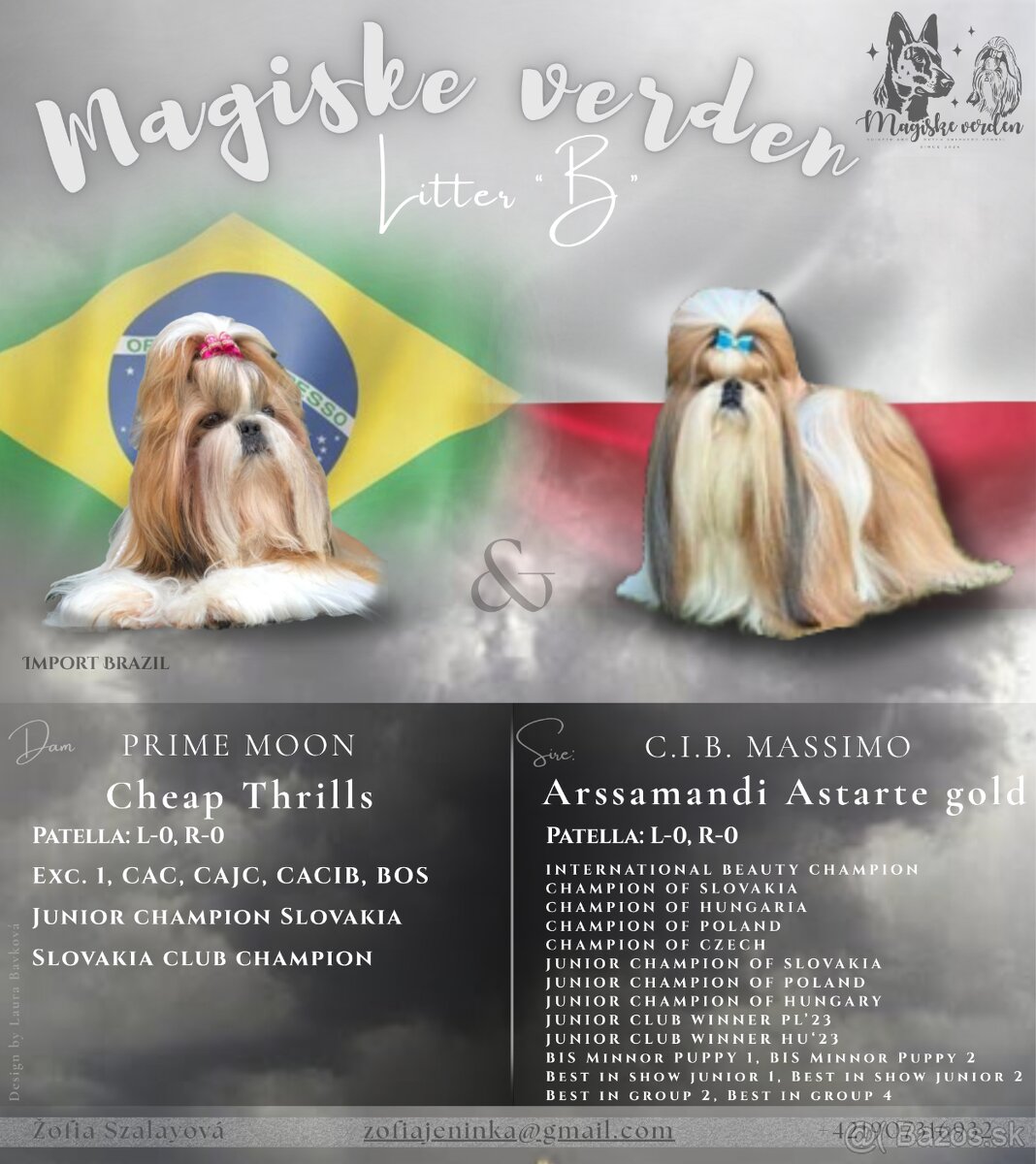 Shih-tzu s PP (šicu, shihtzu, shih tzu )