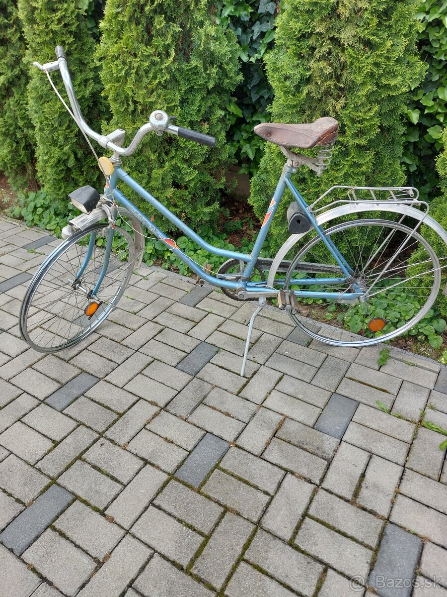 LADY 26