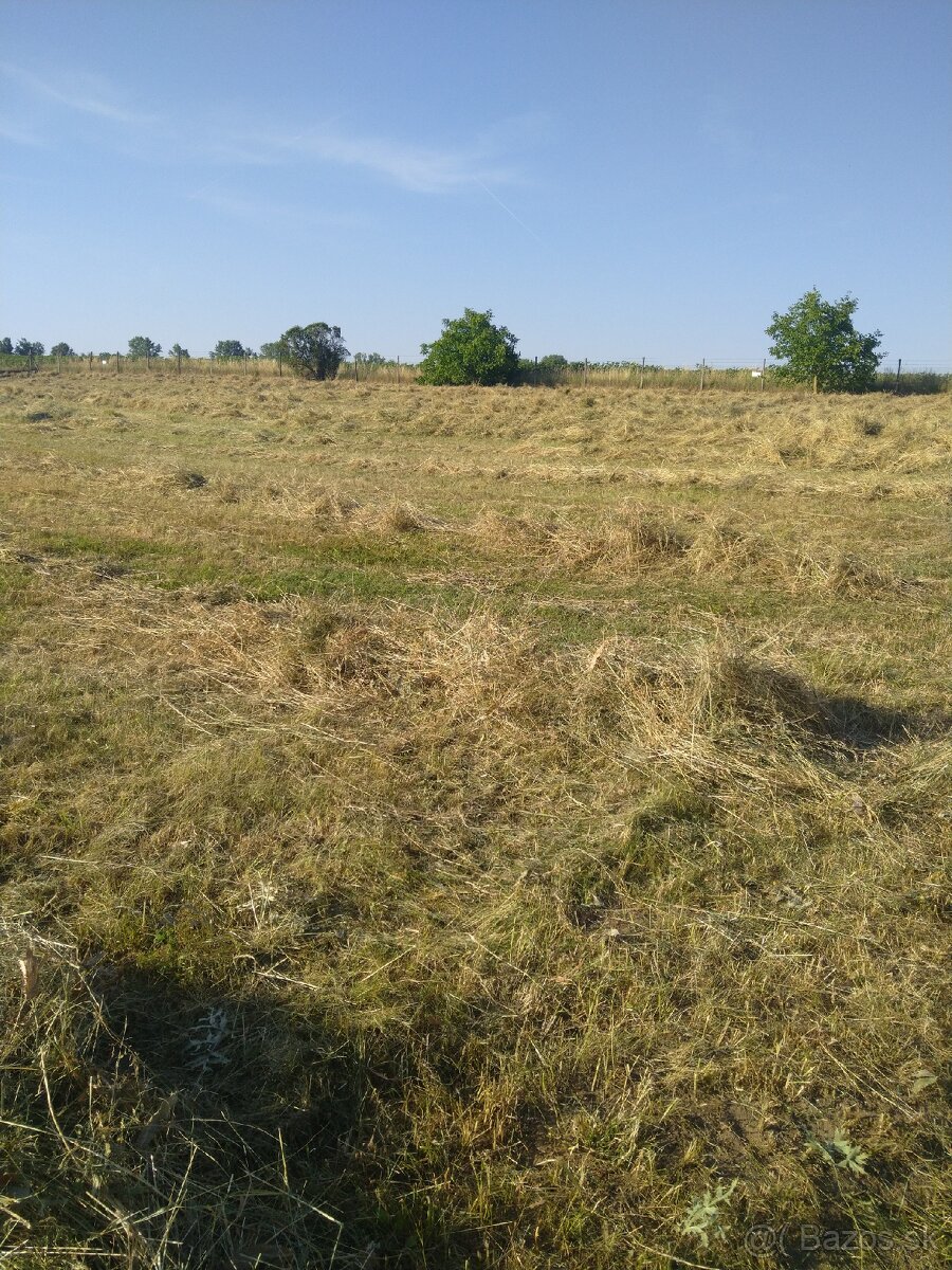 Datelina,Seno, Slama