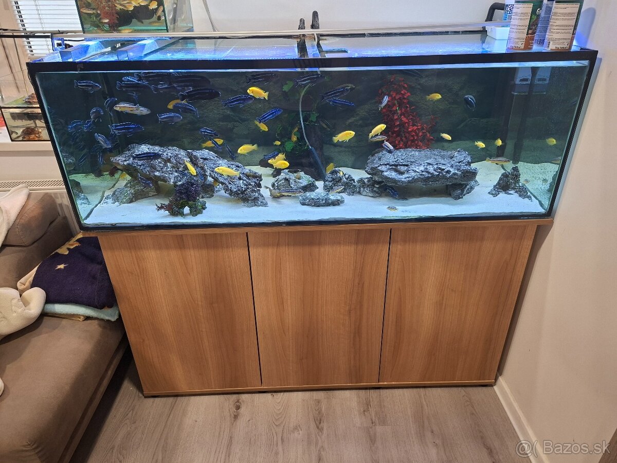 Predavam vsetko čo je na foto.