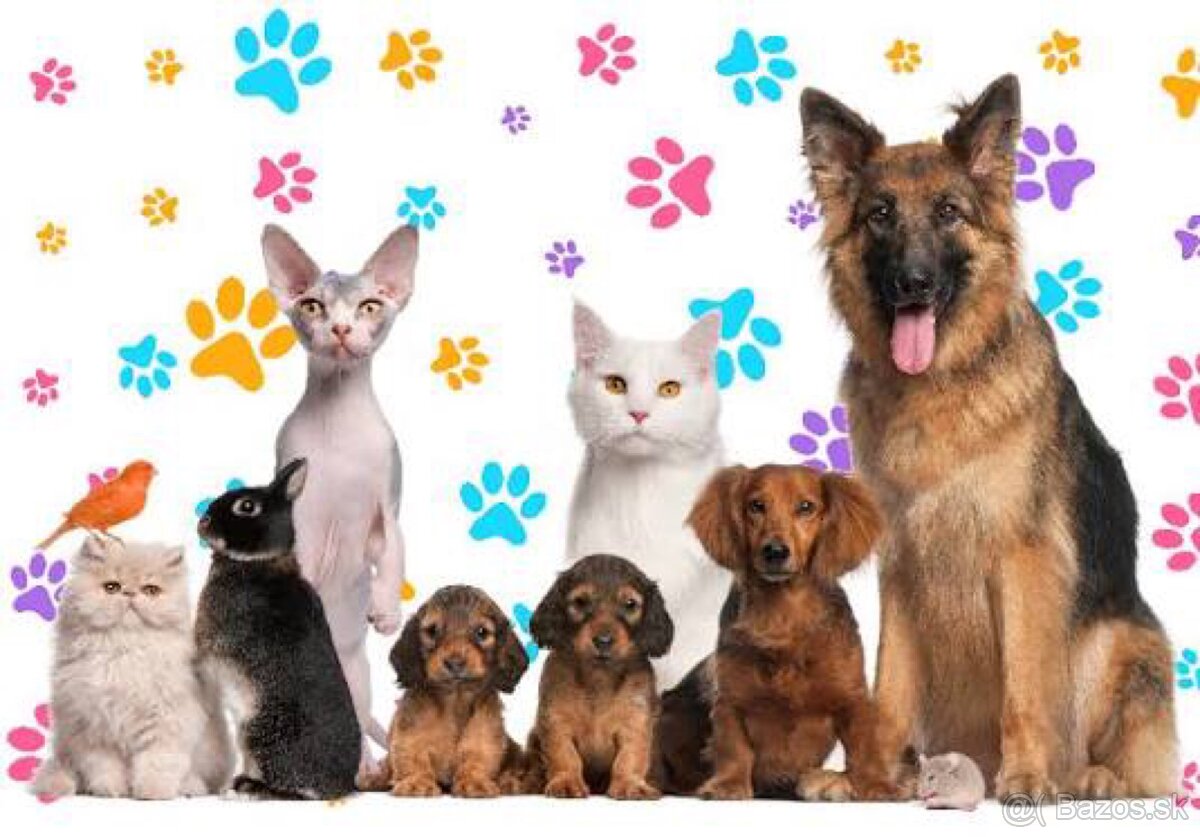 Opatrovanie, stráženie zvierat