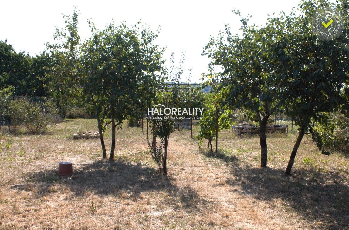 HALO reality - Predaj, záhradný pozemok 250 m2 Trnava, Mod