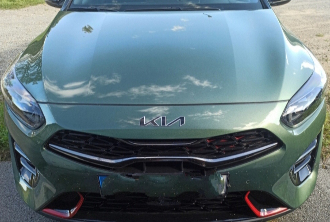 Kia logo cierne /nalepky/