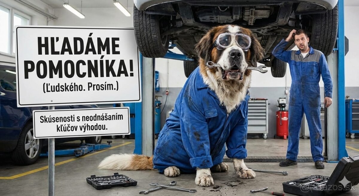 Pomocník do Autoservisu