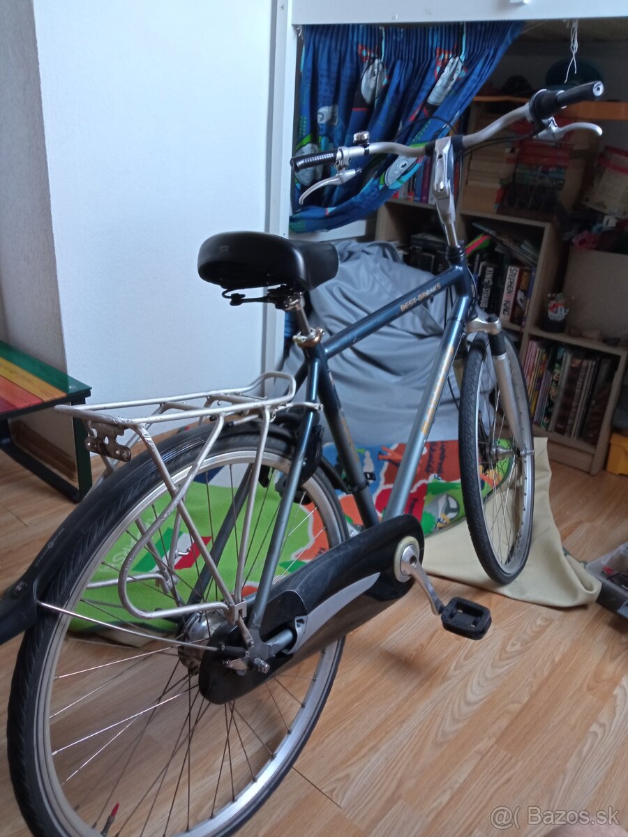 Batavus