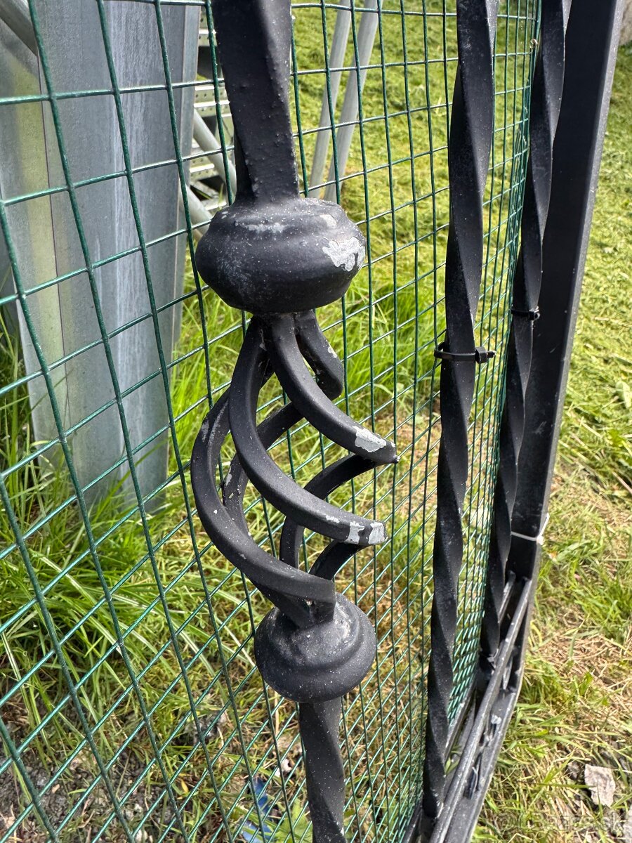 Masívna kovaná brána , plot, bránka