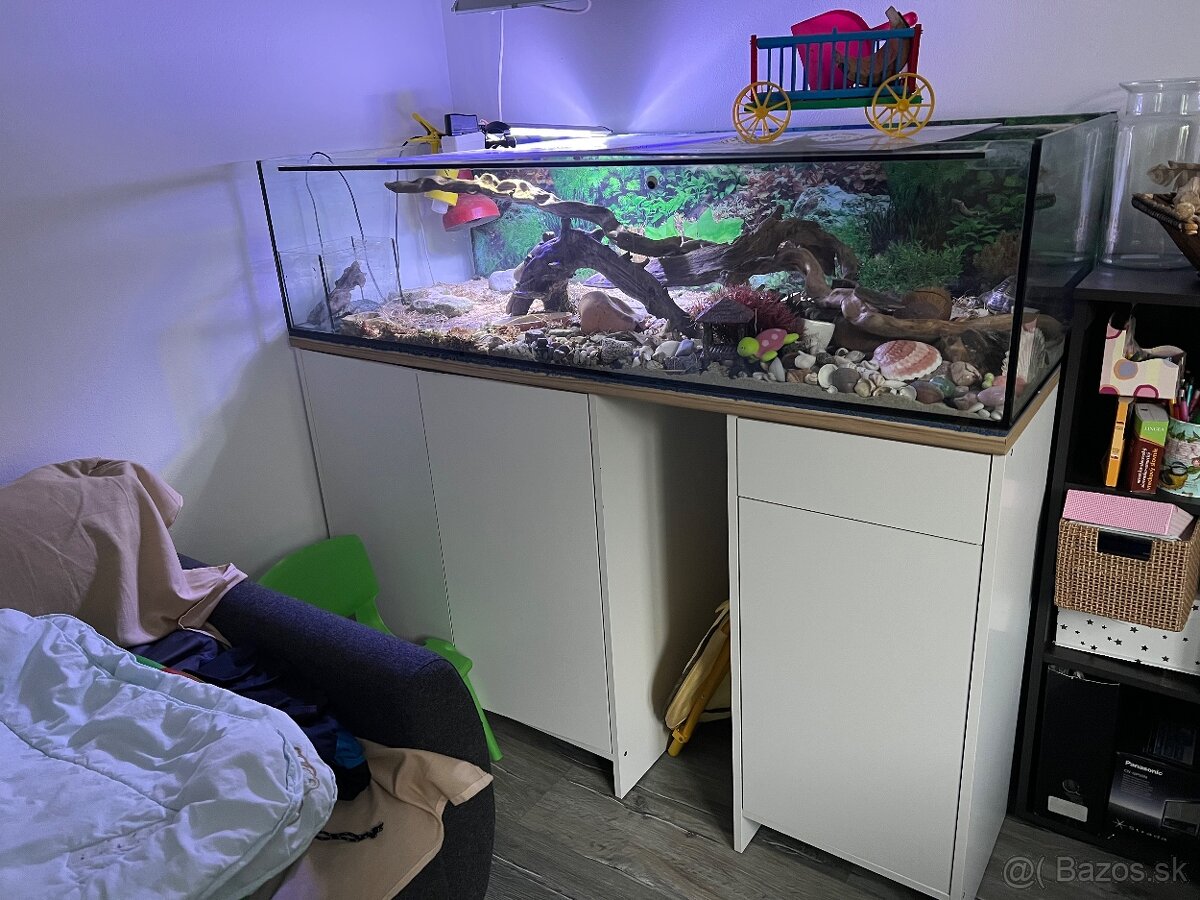 Terarium zo skrinkou
