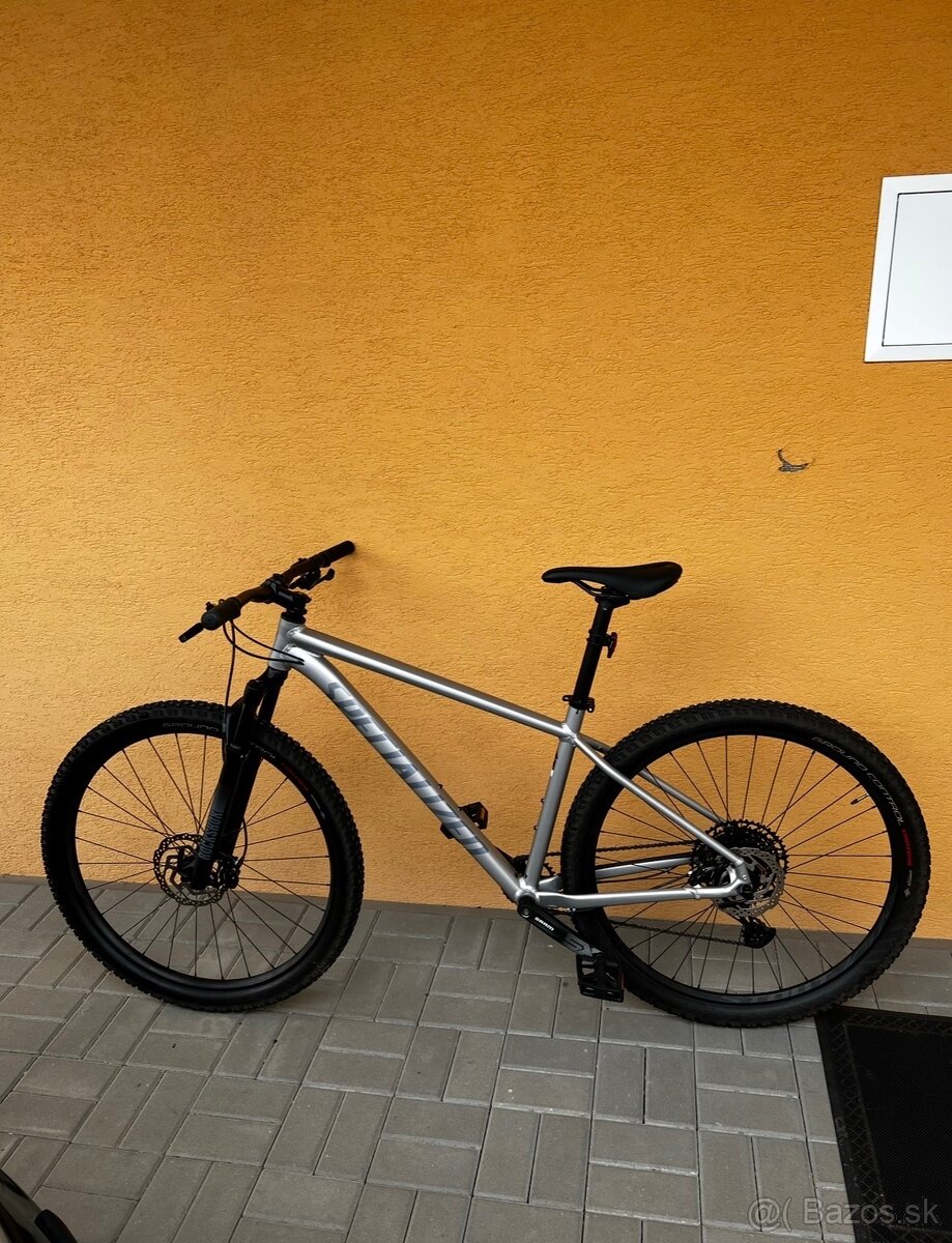 Specialized Rockhopper Expert 29