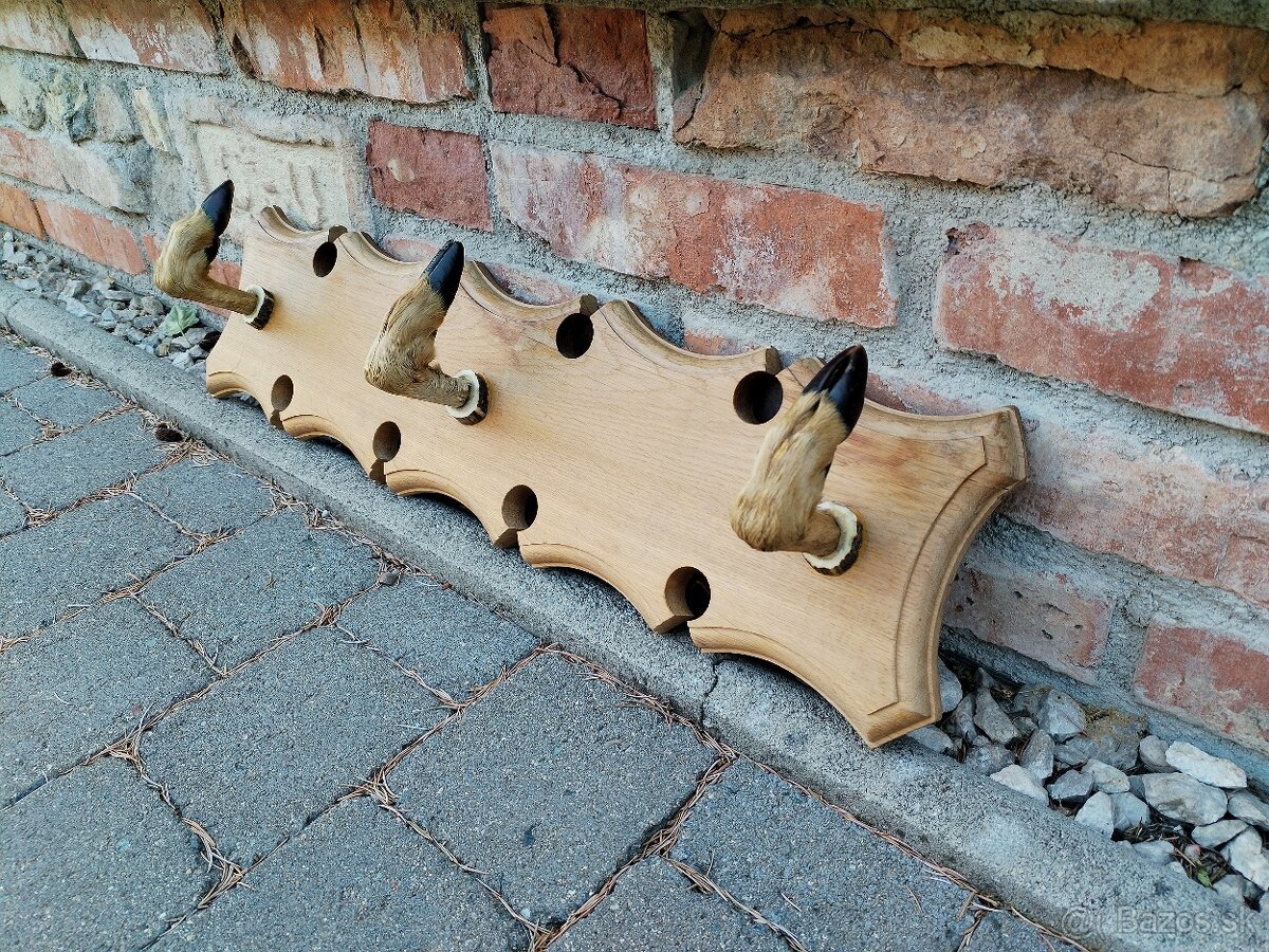 Trofej parozie vešiak