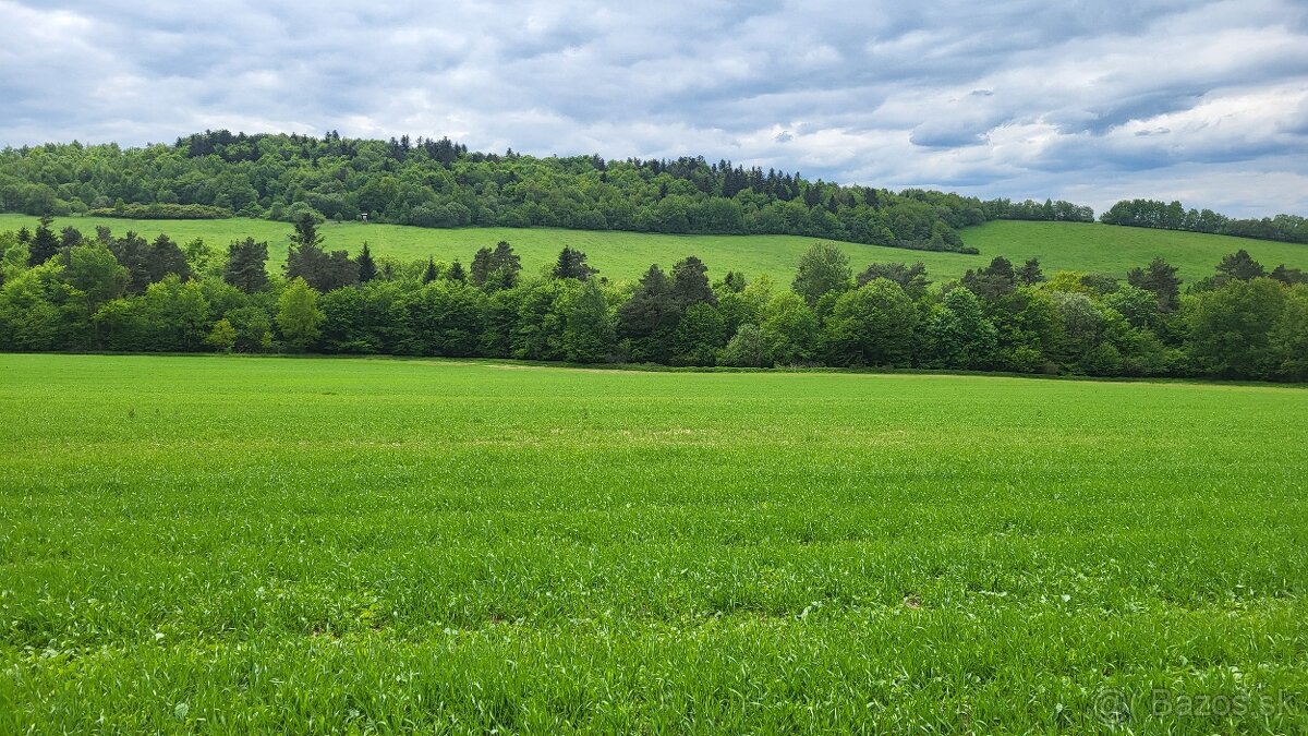 Na predaj pozemok Zlaté 5951m2