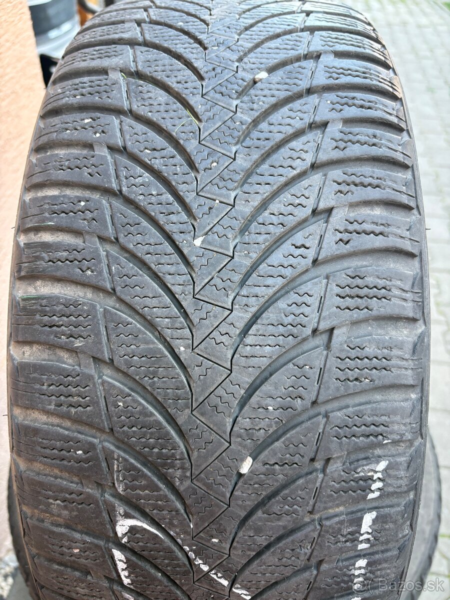 225/50r17 Zimne nexen