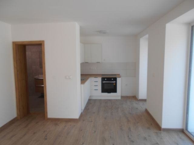 Priestranný byt 1+1 v Krásne nad Kysucou