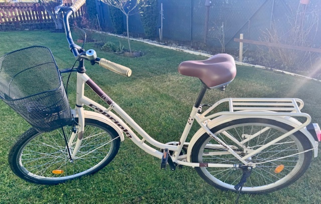 Mestský bicykel 26''x17'' - Picnic - bežový - Capriolo