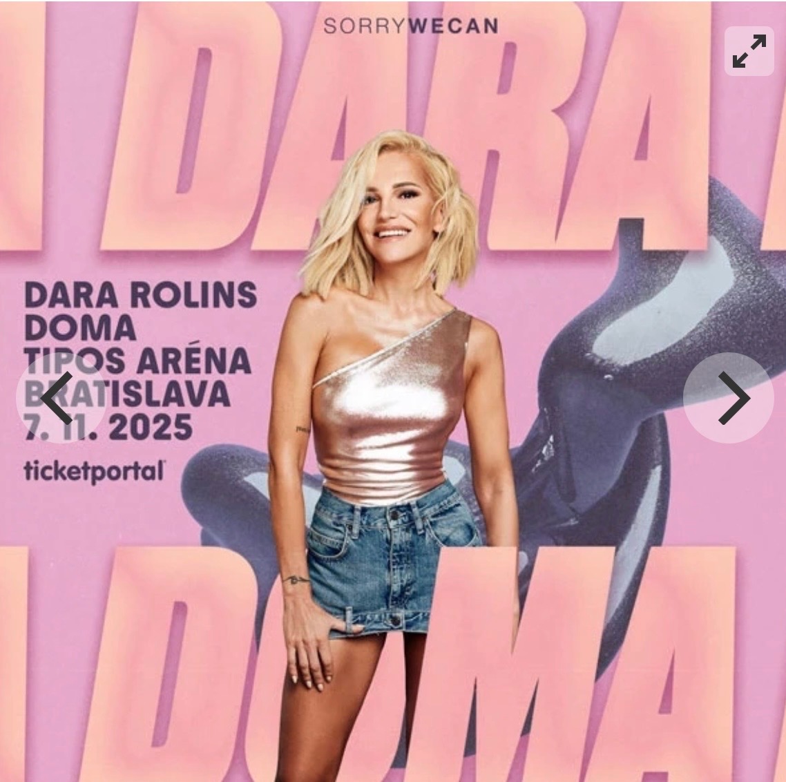 Predám lístky DARA ROLINS, 7.11.2025 v Bratislave
