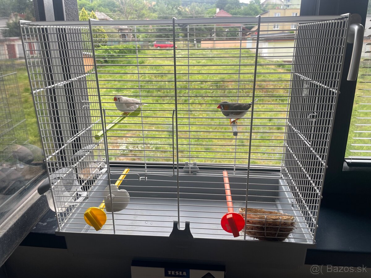 Predám klietku
