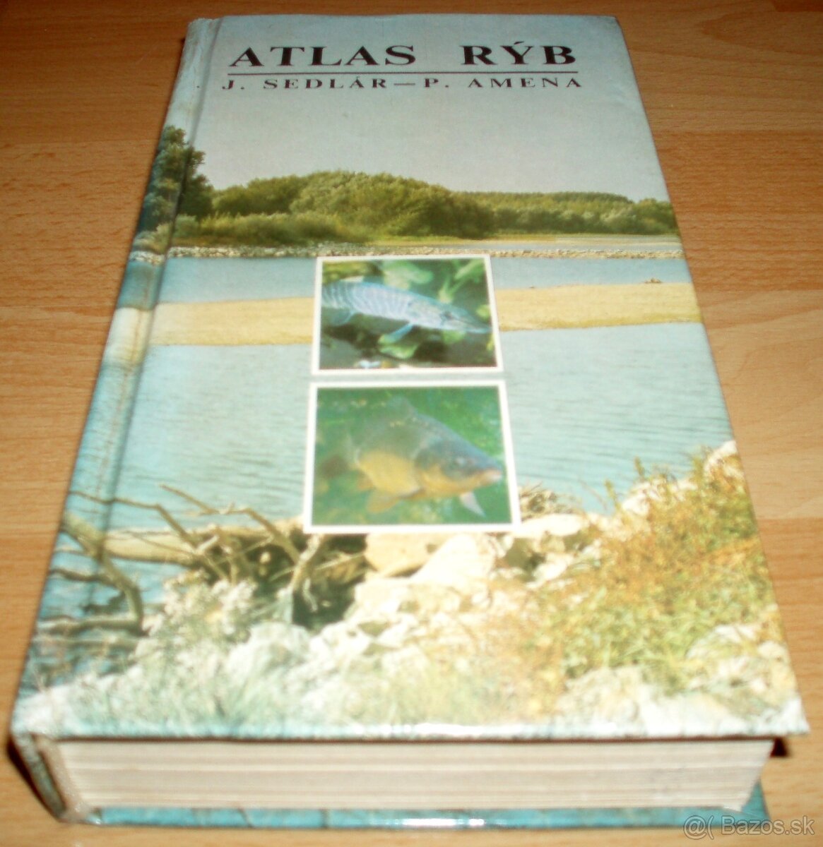 Atlas rýb