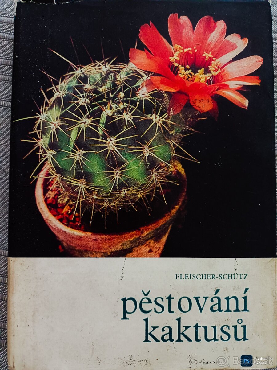 Knihy Kaktusy, Pěstování kaktusů po 99 Kč (5 €) / ks
