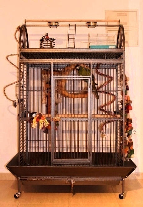 Voliéra XXL - LUXUSNÁ klietka pre vtáky